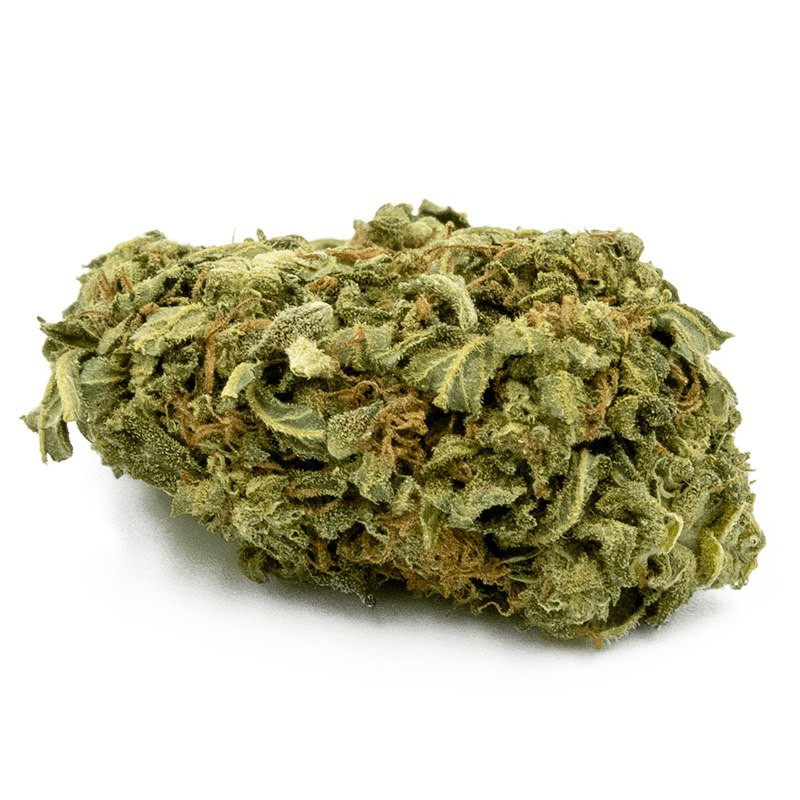 Cheese CBD Cheese CBD