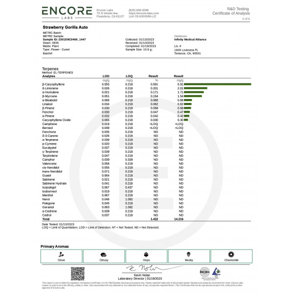 Strawberry Gorilla 5