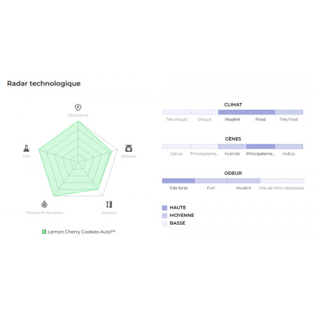 Lemon Cherry Cookies Auto 3