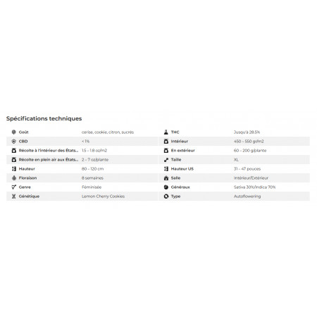 Lemon Cherry Cookies Auto 4