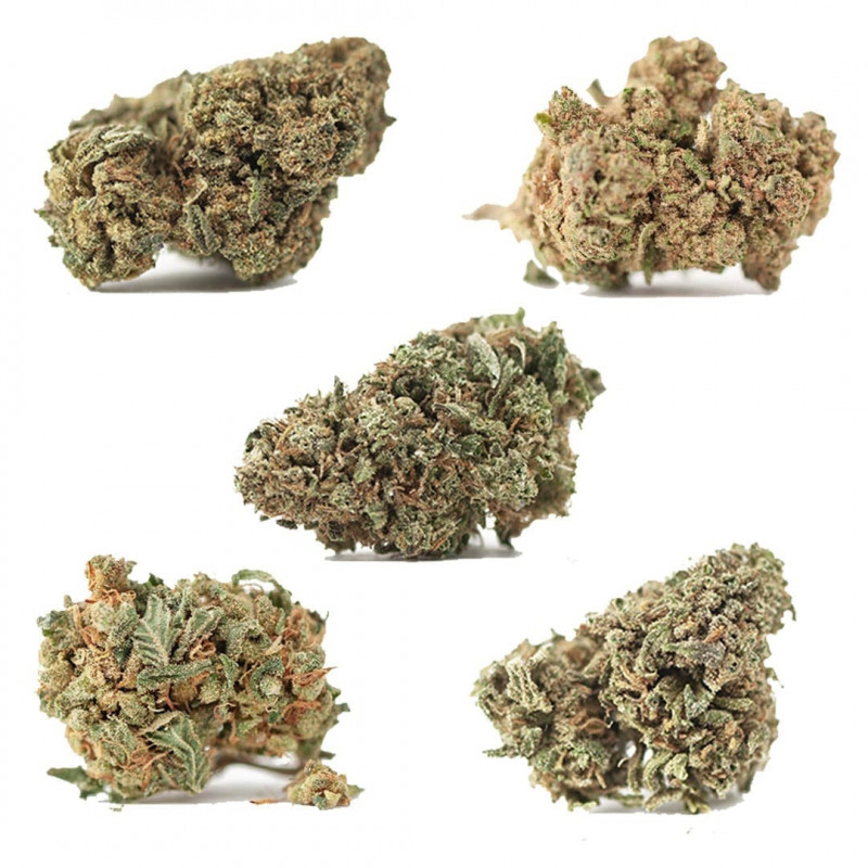 Pack dÃ©couverte  - 1