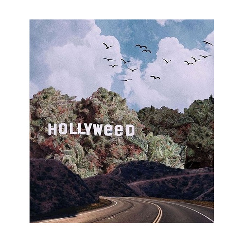 AccÃƒÂ¨s direct Fleurs & RÃƒÂ©sines