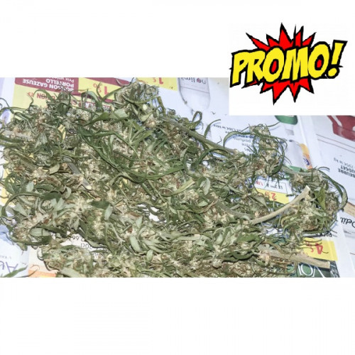 promo fleur cbd