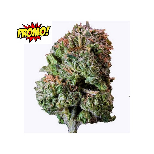 promo fleur cbd
